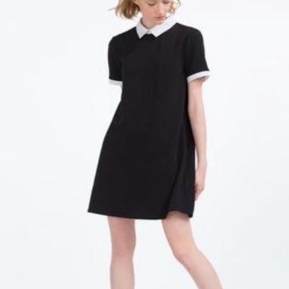 ZARA Black Collared Classic Dress